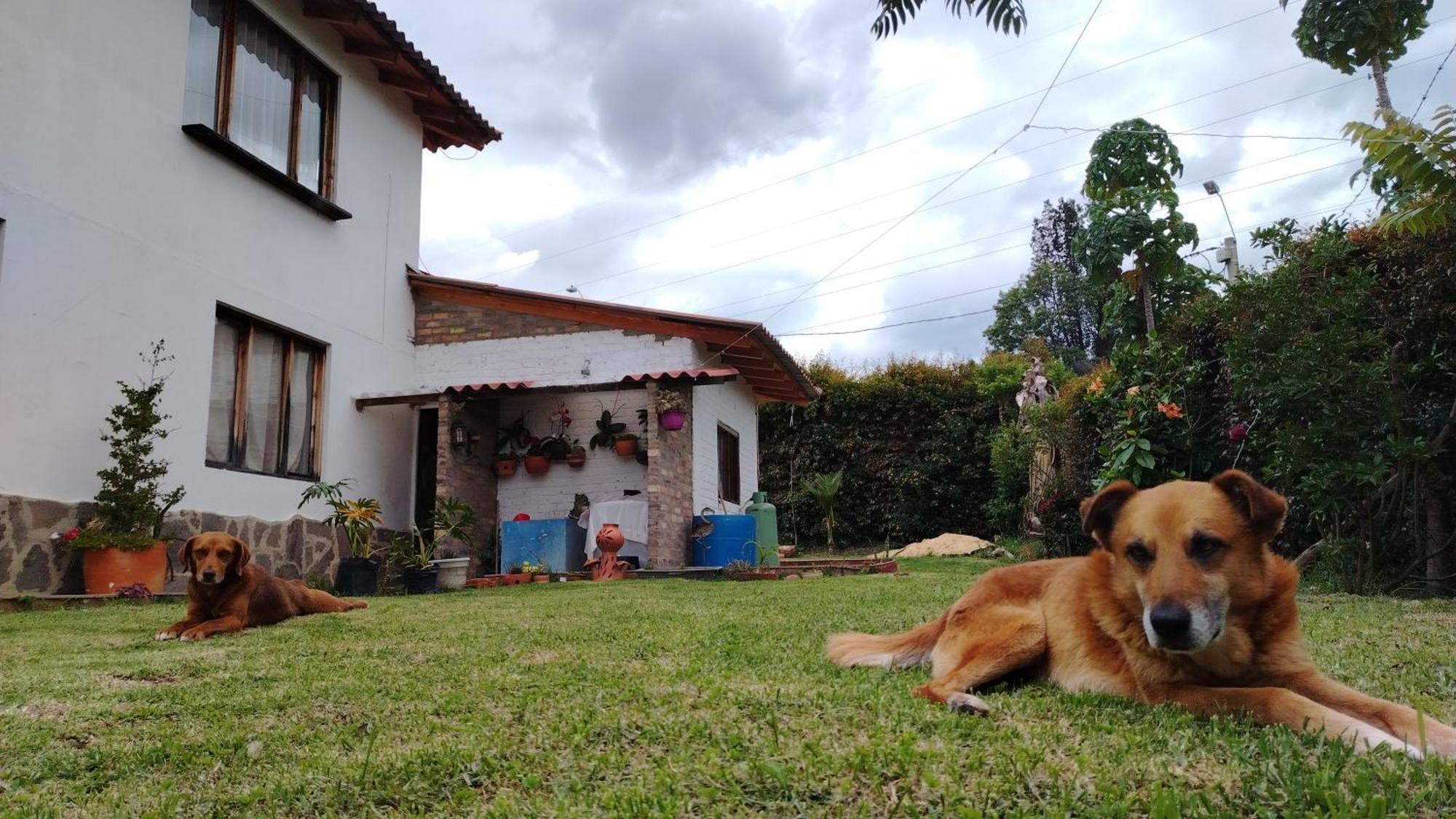 Mariana